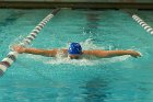 Swimming vs Bentley  Wheaton College Swimming & Diving vs Bentley College. - Photo by Keith Nordstrom : Wheaton, Swimming & Diving